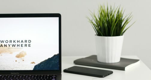 Teams collaborating with Pyzit